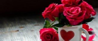 К чему дарят розы девушкам: как с помощью цвета роз рассказать о своих чувствах?