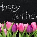 Tulips and the inscription Happy Birthday